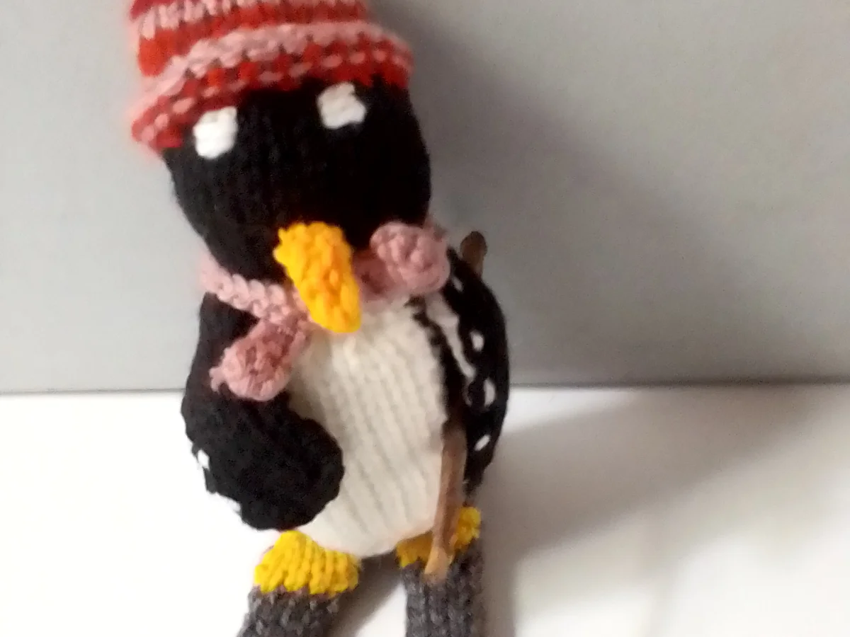Skiing penguin