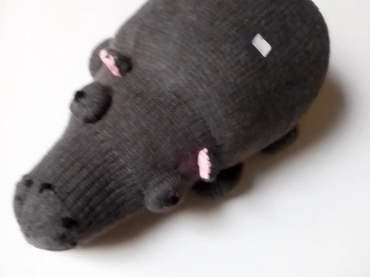 Henry the hippo