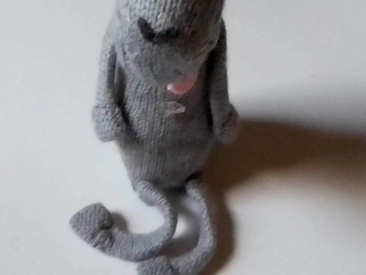 Mama Lambkin
